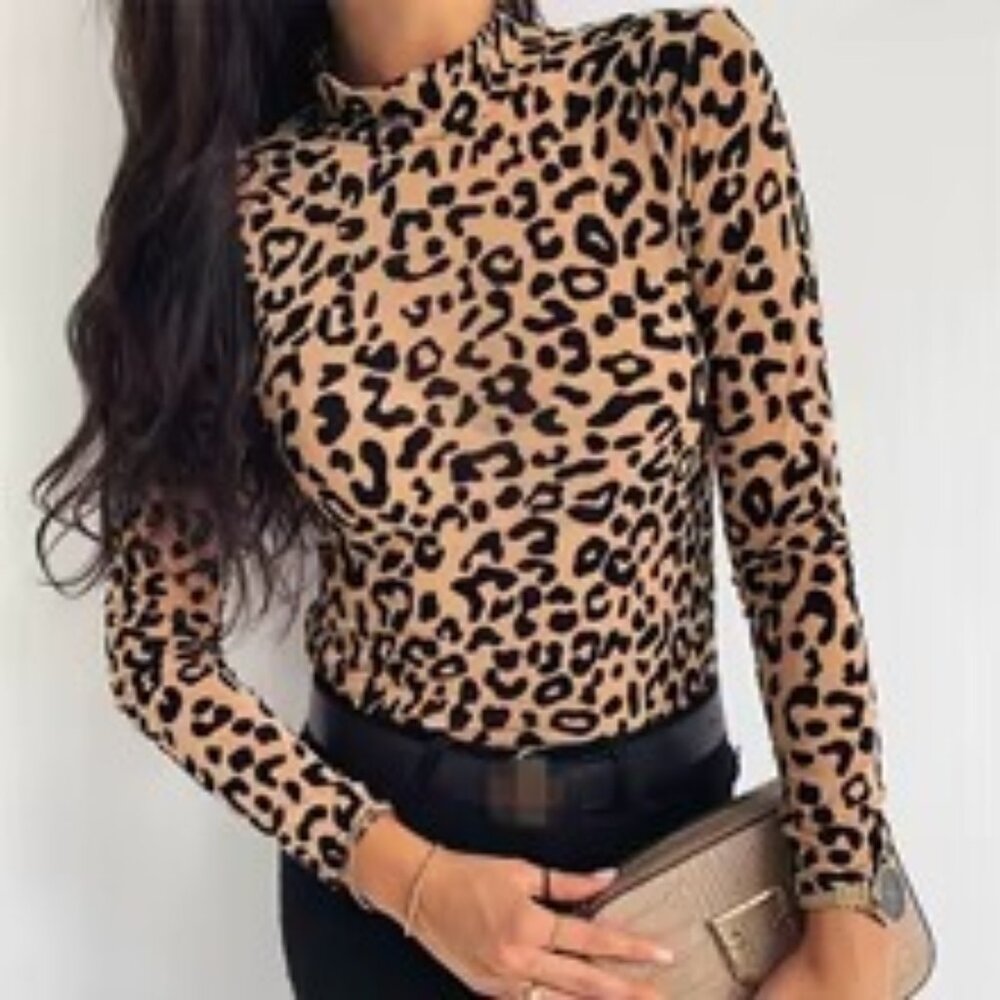Chic and Sheer Leopard Top